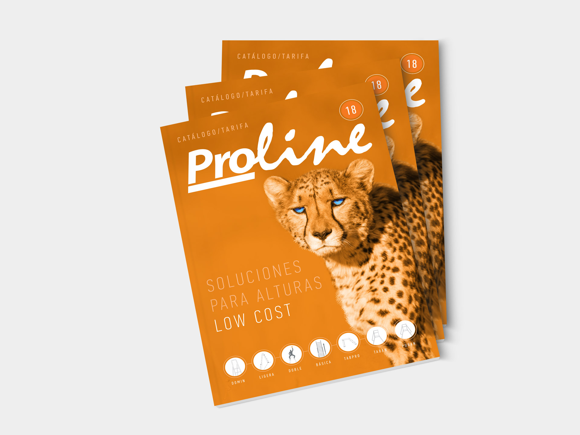 Diseño gráfico aplicado al nuevo catálogo para la empresa de escaleras profesionales ProLine en Lleida. Disseny gràfic aplicat al nou catàleg per a l’empresa d’escaleres professionals ProLine a Lleida.